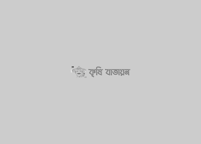 ভেজাল এমওপি সার চেনার উপায় !